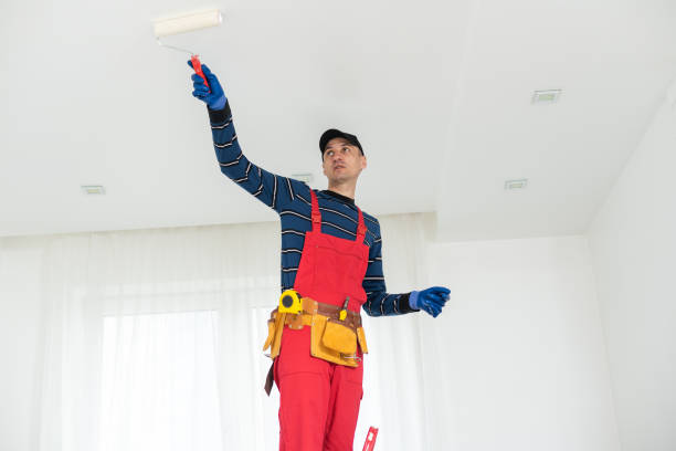 Best Attic Mold Removal  in Buckner, MO