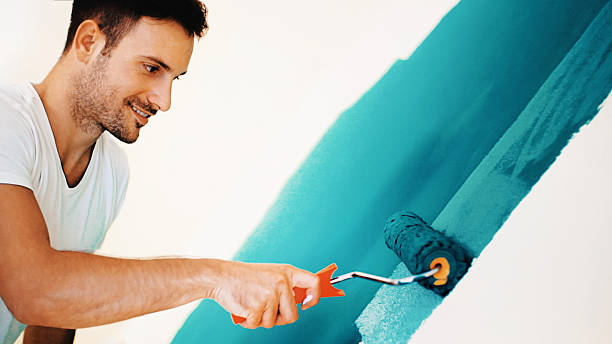 Best Basement Mold Removal  in Buckner, MO